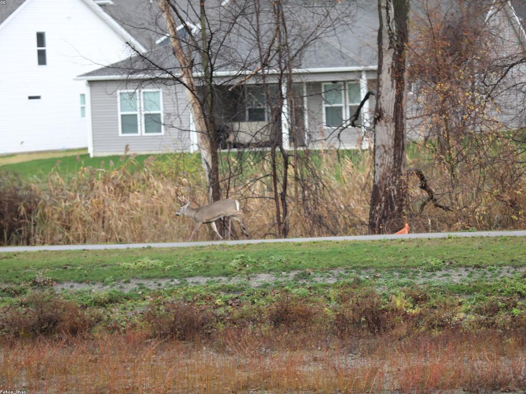អត្ថប្រយោជន៍នៃការលេងហ្គេមនានា